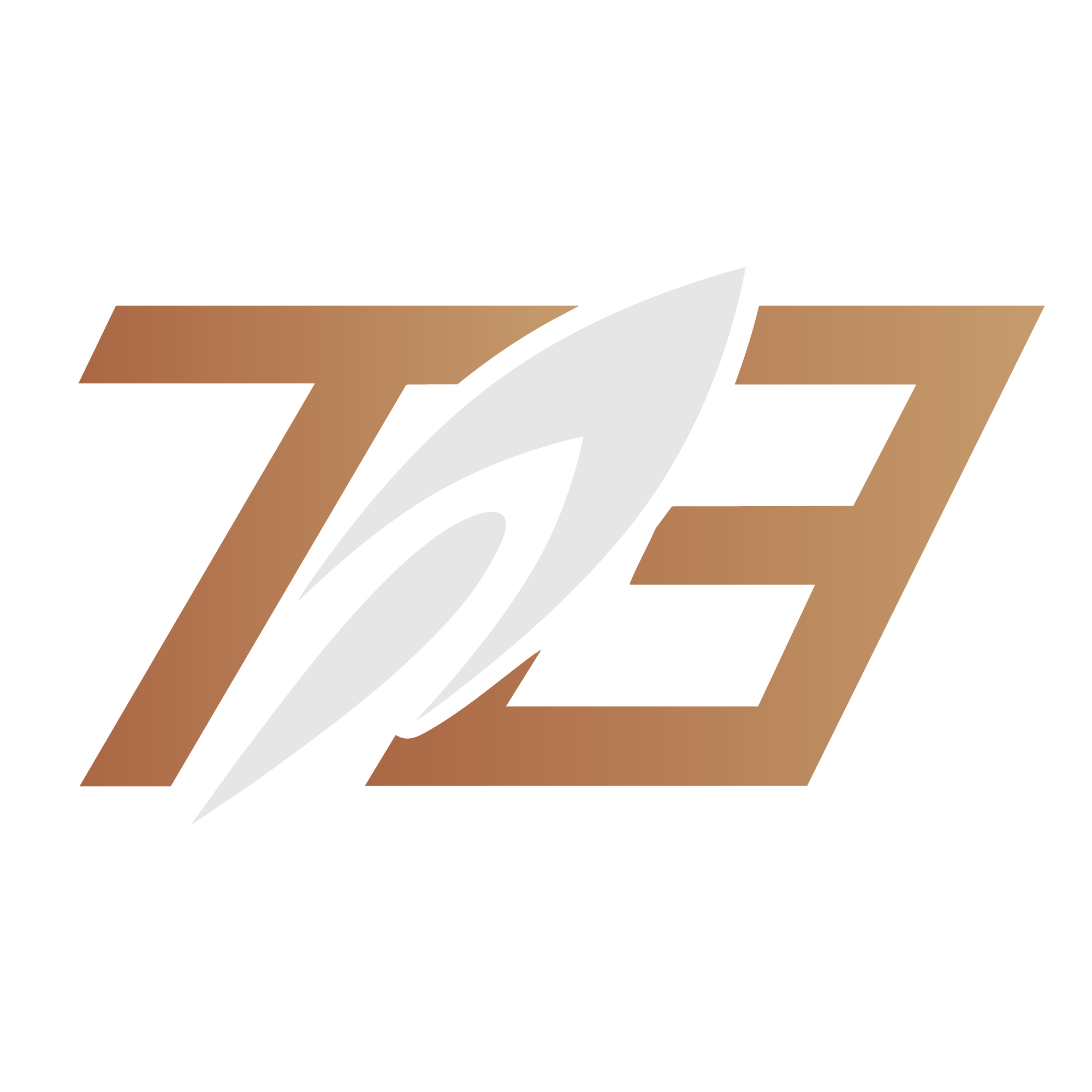 T3
